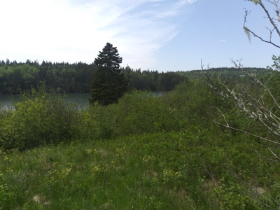 Oceanfront Land For Sale in Trescott, Maine - image 6