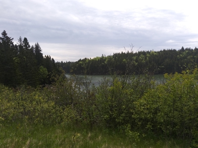 Oceanfront Land For Sale in Trescott, Maine - image 8