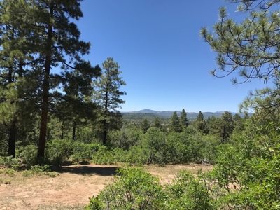 Chama New Mexico Mountain Land for Sale w Acreage and Well - image 4