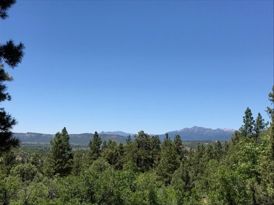 Chama New Mexico Mountain Land for Sale w Acreage and Well - image 3