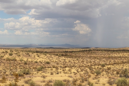 252+/- Head Cattle Ranch , Gordon Family Ranch, Aguila, AZ - image 17