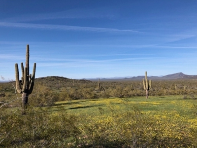252+/- Head Cattle Ranch , Gordon Family Ranch, Aguila, AZ - image 40