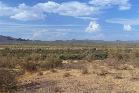 252+/- Head Cattle Ranch , Gordon Family Ranch, Aguila, AZ - image 16
