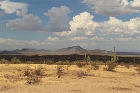 252+/- Head Cattle Ranch , Gordon Family Ranch, Aguila, AZ - image 44