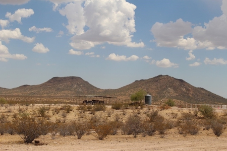 252+/- Head Cattle Ranch , Gordon Family Ranch, Aguila, AZ - image 13