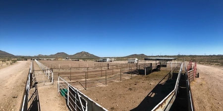 252+/- Head Cattle Ranch , Gordon Family Ranch, Aguila, AZ - image 12