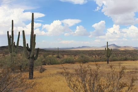 252+/- Head Cattle Ranch , Gordon Family Ranch, Aguila, AZ - image 41