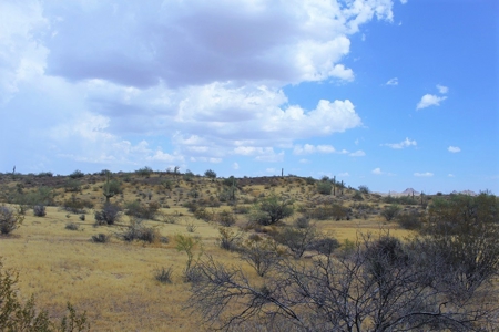 252+/- Head Cattle Ranch , Gordon Family Ranch, Aguila, AZ - image 45
