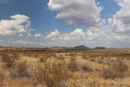 252+/- Head Cattle Ranch , Gordon Family Ranch, Aguila, AZ - image 14