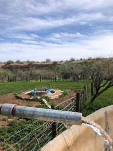 252+/- Head Cattle Ranch , Gordon Family Ranch, Aguila, AZ - image 32