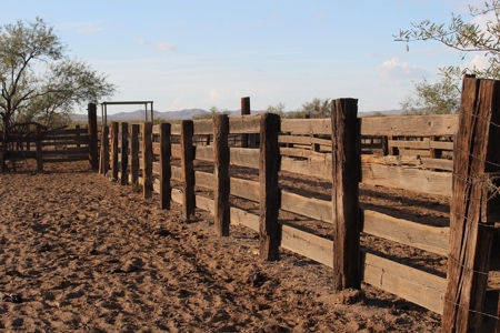 252+/- Head Cattle Ranch , Gordon Family Ranch, Aguila, AZ - image 29