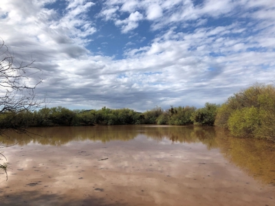 252+/- Head Cattle Ranch , Gordon Family Ranch, Aguila, AZ - image 37