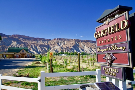 Colorado Vineyard and Winery with Country Home For Sale - image 10