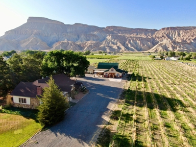 Colorado Vineyard and Winery with Country Home For Sale - image 11
