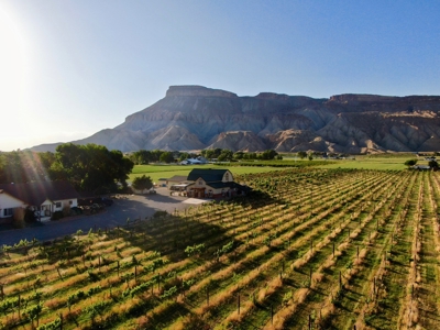 Colorado Vineyard and Winery with Country Home For Sale - image 14