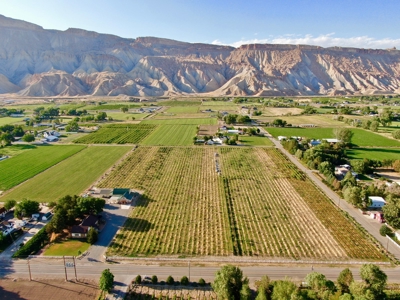 Colorado Vineyard and Winery with Country Home For Sale - image 12