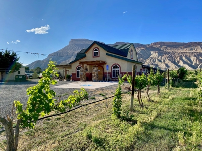 Colorado Vineyard and Winery with Country Home For Sale - image 1