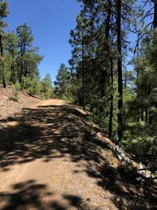 Mountain Land for Sale Chama NM Real Estate w Acreage - image 1