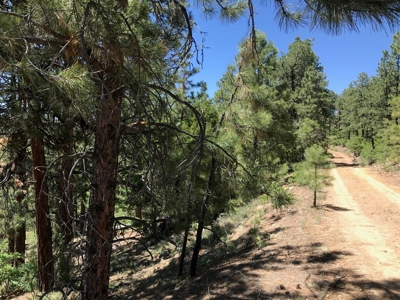 Northern NM Land for Sale Chama NM Mountain Real Estate - image 1
