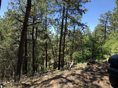 Northern NM Mountain Land for Sale Real Estate Near Chama NM - image 1