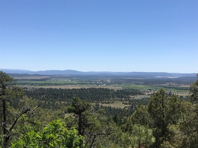 Northern NM Mountain Land for Sale Real Estate Near Chama NM - image 4