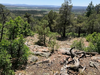Northern NM Mountain Land for Sale Real Estate Near Chama NM - image 3