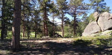 Build your Mountain Retreat - image 22