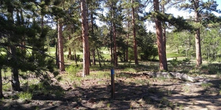 Build your Mountain Retreat - image 23