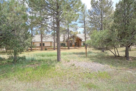 Divide Ranch Mountain Home, Ridgway, Colorado - image 37
