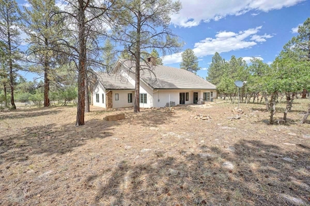 Divide Ranch Mountain Home, Ridgway, Colorado - image 36