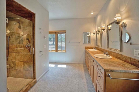 Divide Ranch Mountain Home, Ridgway, Colorado - image 20