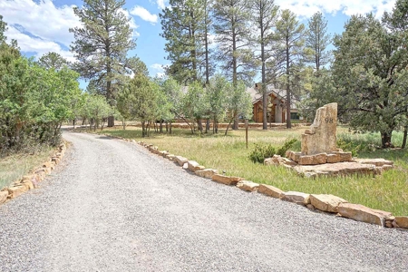 Divide Ranch Mountain Home, Ridgway, Colorado - image 28