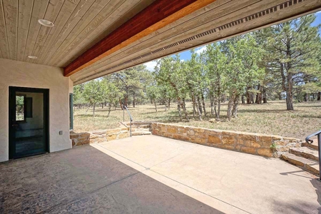 Divide Ranch Mountain Home, Ridgway, Colorado - image 35