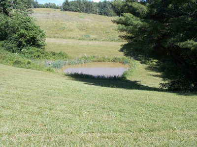 Home and Acreage for Sale in Riner VA - image 11