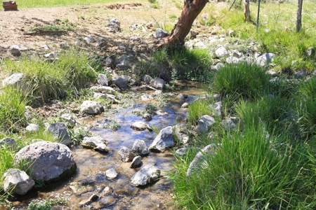 Historic Home, Acreage with Irrigation for Sale in Colorado - image 13