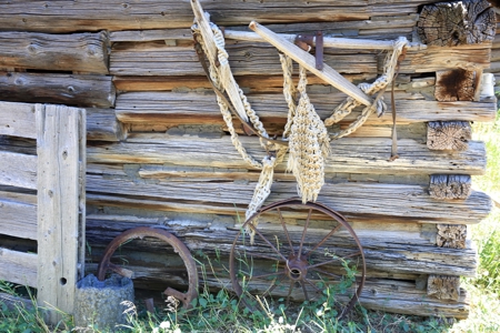 Historic Home, Acreage with Irrigation for Sale in Colorado - image 17