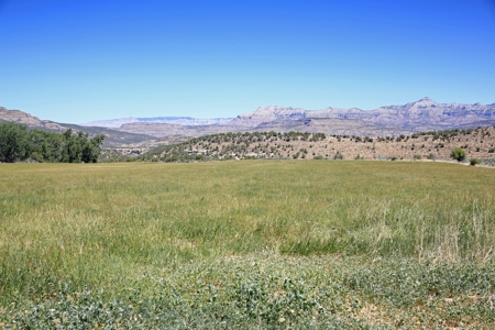 Historic Home, Acreage with Irrigation for Sale in Colorado - image 12