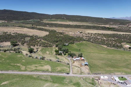 Historic Home, Acreage with Irrigation for Sale in Colorado - image 4