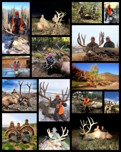 Colorado outfitting business for sale with lodge, leases - image 15