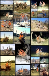 Colorado outfitting business for sale with lodge, leases - image 40