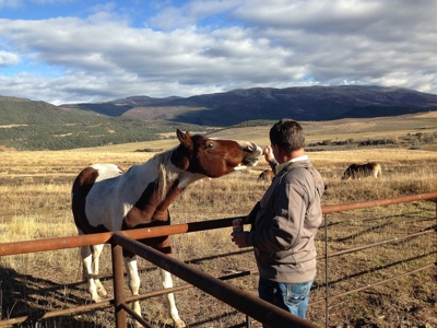 Colorado outfitting business for sale with lodge, leases - image 20