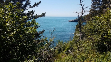 Coastal Land for Sale in Lubec, ME - image 1