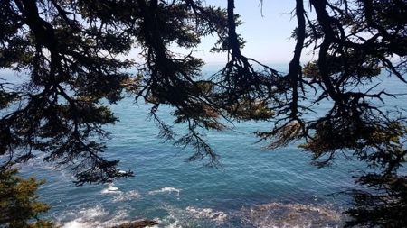 Coastal Land for Sale in Lubec, ME - image 8