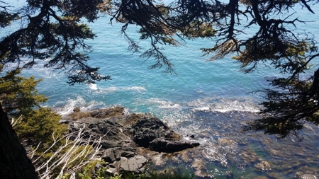 Coastal Land for Sale in Lubec, ME - image 3