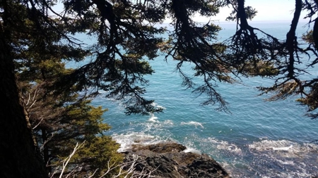 Coastal Land for Sale in Lubec, ME - image 4