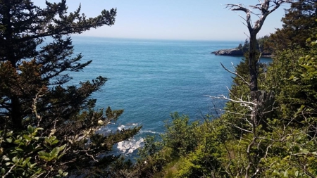 Coastal Land for Sale in Lubec, ME - image 7