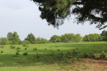 East Texas Land For Sale - Country Home - Winnsboro, Tx - image 16