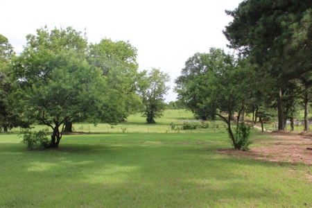 East Texas Land For Sale - Country Home - Winnsboro, Tx - image 11