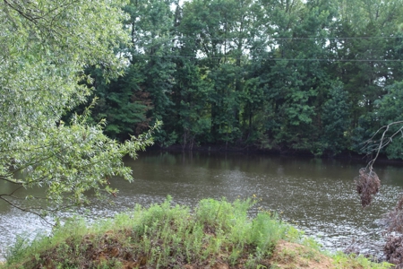 East Texas Land For Sale - Country Home - Winnsboro, Tx - image 12