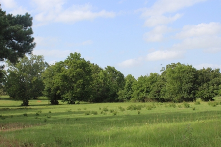 East Texas Land For Sale - Country Home - Winnsboro, Tx - image 19